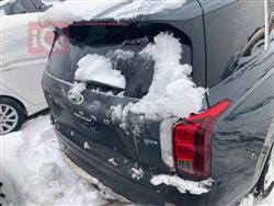 هيونداي باليسيد